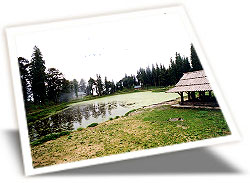 Kamru Nag Lake, Mandi Tour Packages