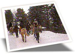 Shimla Tour Packages, Shimla Tour Operators